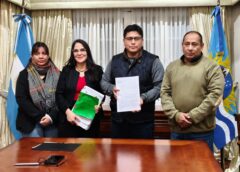 Santa Cruz reglamentó el funcionamiento del Juzgado Provincial de Infracciones de Tránsito